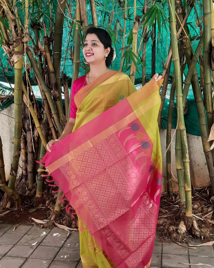 Pure Silk by Cotton Pear Green Saree with Dual Color Floral motifs and Pink Pallu