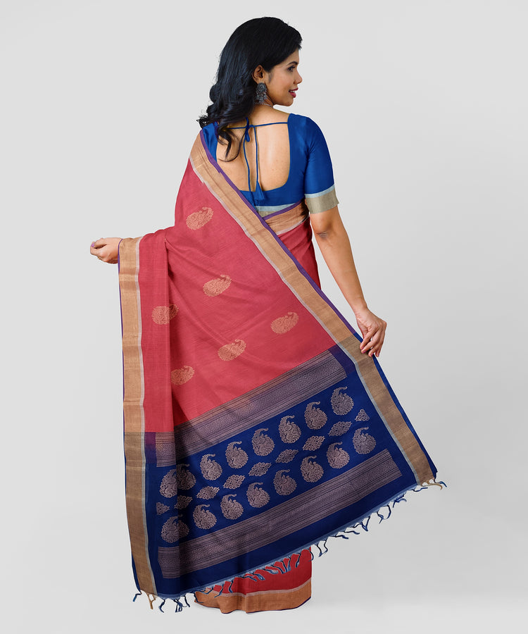 Pure Silk by Cotton Pink Saree with Peacock Motifs and Blue Pallu