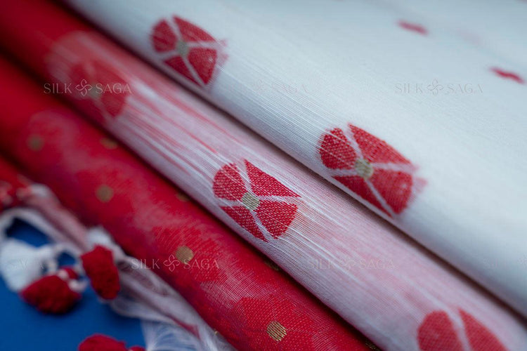 Pure Resham Kesh White and Red Saree with Resham Hand Work - Silksaga Studio