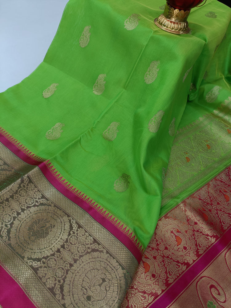 Buy Viscose with Golden Smoke Fabric Saree in Parrot Green Color Online -  SREV3177 | Appelle Fashion