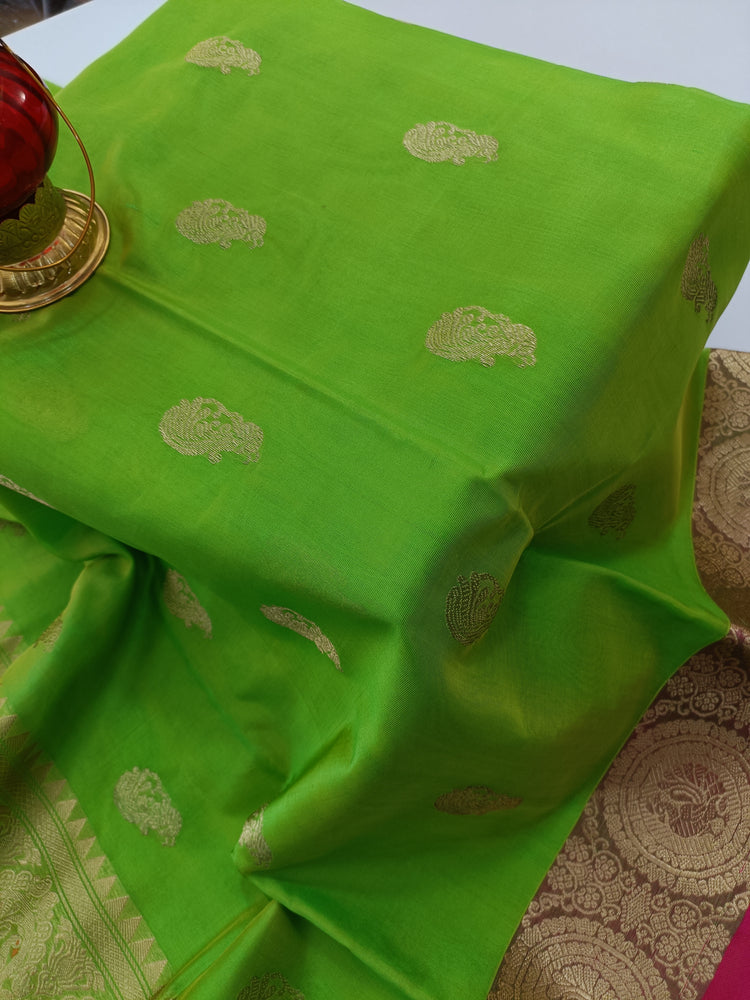 Pure Silk by Cotton Parrot Green Saree with Pink and Golden Zari Pallu